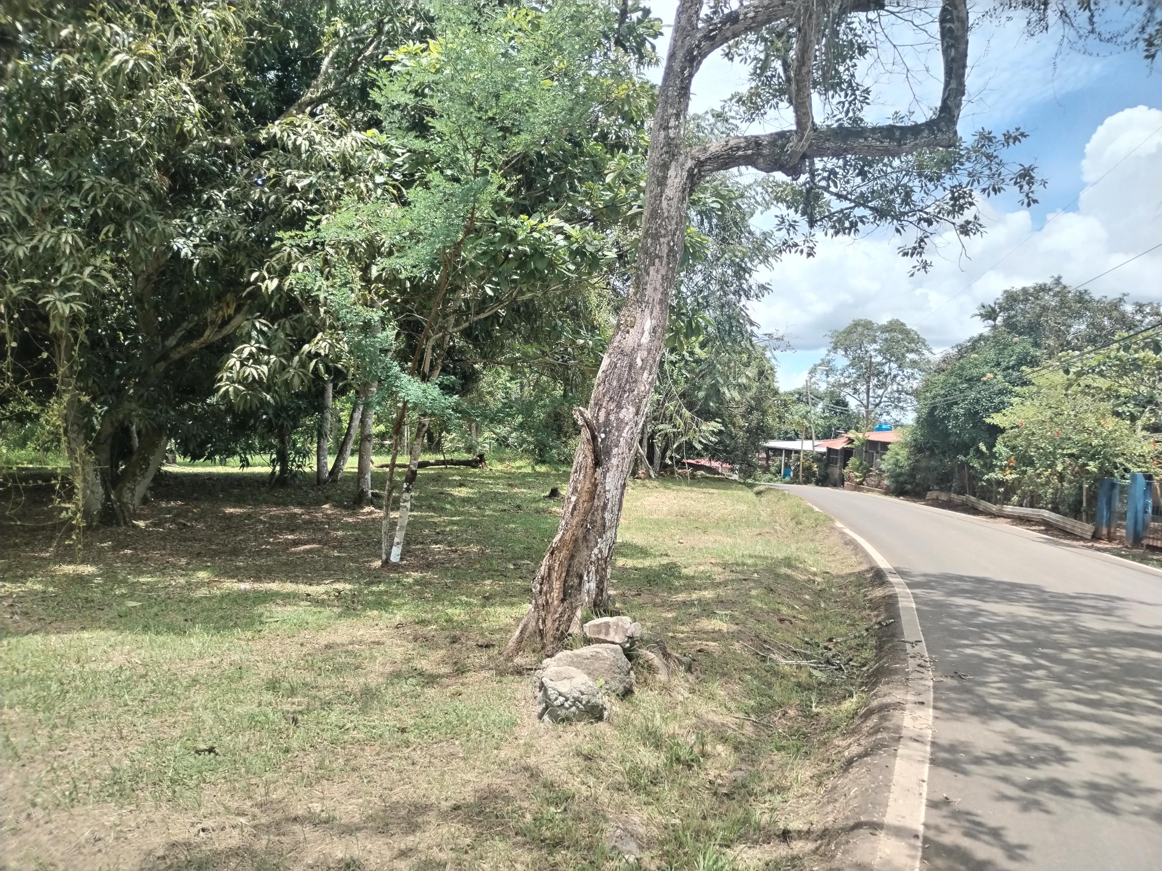 Finca en El Nazareno de La Chorrera